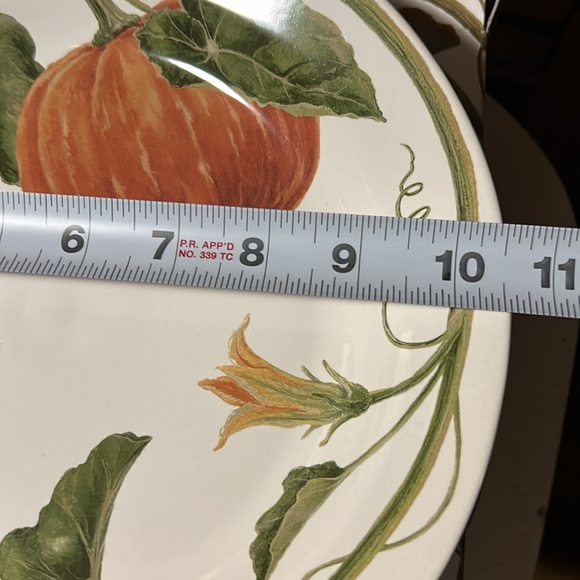 Pottery Barn Rustic Pumpkin Dinner Plates BNIB - Picture 3 of 7